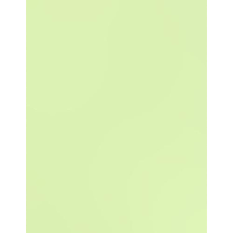 Card Shoppe 8.5x11 Cardstock: Fresh Mints