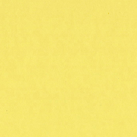 Bazzill Basics Card Shoppe 8.5x11 Cardstock: Sour Lemon