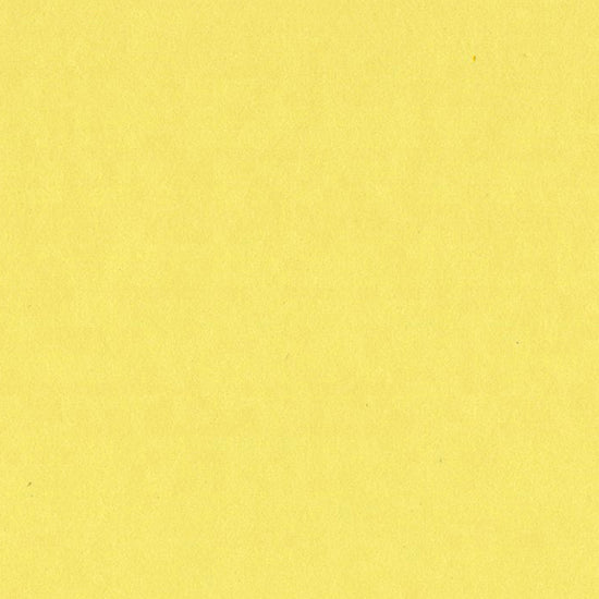 Bazzill Basics Card Shoppe 8.5x11 Cardstock: Sour Lemon