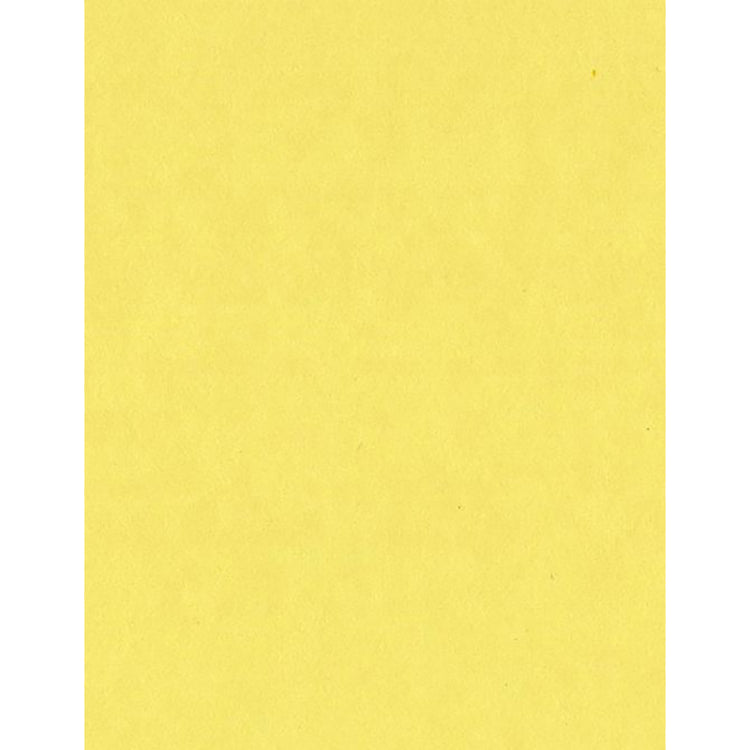Card Shoppe 8.5x11 Cardstock: Sour Lemon