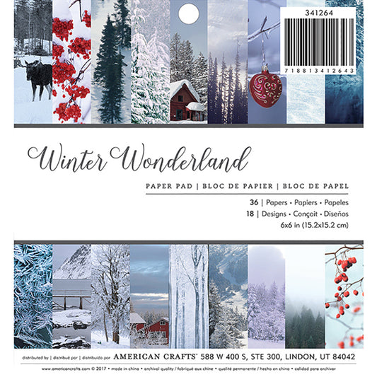 American Crafts Winter Wonderland 6x6 Paper Pad