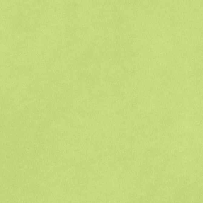 American Crafts Key Lime 8.5x11 Smooth Cardstock