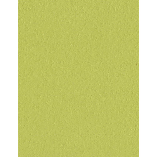 Orange Peel 8.5x11 Cardstock: Green Tea