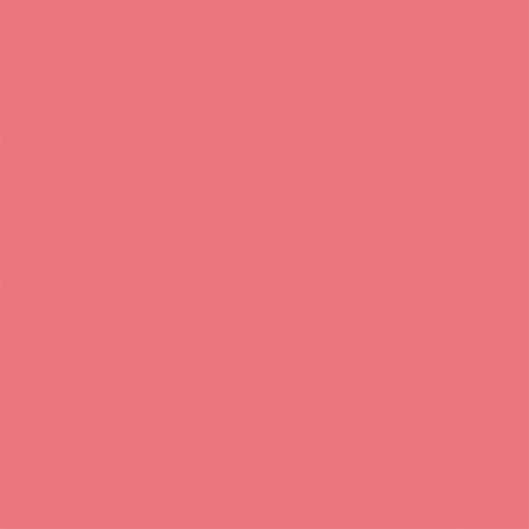Salon 12x12 Paper - Dark Pink & Mint